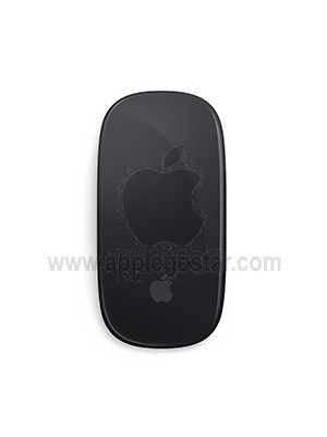 مجیک موس 2 خاکستری اپل (Apple Magic Mouse 2 - Space Gray)