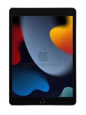 آیپد  نسل 9 اپل 10.2 اینچ 256 گیگابایت - Apple iPad 9 (9th Generation) 10.2 Inch 256GB  2021 4G